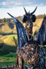 Scrap Metal Steampunk Dragon