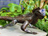Metal Tuatara Lizard Sculpture Garden Art	
