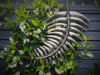 Metal NZ Fern Small Wall Art