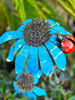 Blue Daisy Stem with Ladybug		