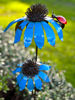 Blue Daisy Stem with Ladybug		