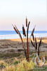 Metal Bulrush Garden Art