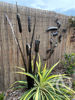 Metal Bulrush Single Garden Art