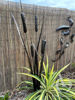 Metal Bulrush Single Garden Art