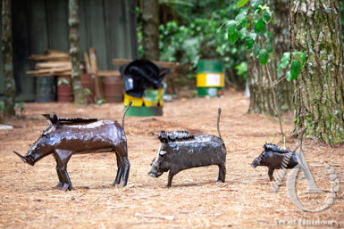 Metal Bush Pig Set of 3