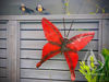 Metal Wall Art - Butterfly Large