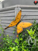 Metal Wall Art - Butterfly Large