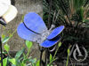 Butterfly on a Stem