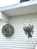 Crayfish metal wall mount