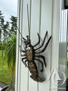 Crayfish metal wall mount