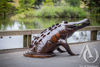 Metal Serwer Crocodile in a Drain