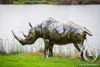 Scrap Metal Rhino