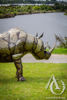 Scrap Metal Rhino