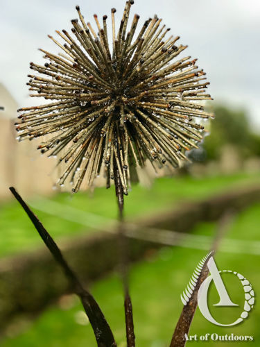 Metal Dandelion