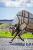 Scrap Metal Bull Life Sized