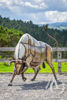 Scrap Metal Bull Life Sized