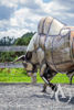 Scrap Metal Bull Life Sized