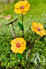 Metal Flower Stems freestanding