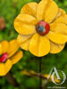 Metal Flower Stems freestanding