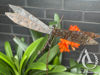 Metal Dragonfly on a stem