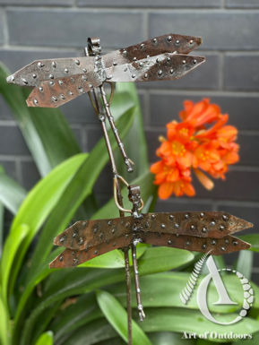 Metal Dragonfly on a stem