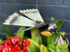 Metal garden art - Fantail hanging