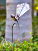 Metal garden art - Fantail on a Stem