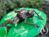 Metal Frog on a Lily Pad