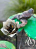 Metal Frog on a Lily Pad