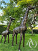 Metal Giraffe sculpture