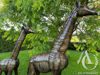 Metal Giraffe sculpture