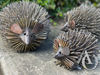 Metal Hedgehog set of 3