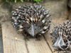 Metal Hedgehog Twisted Large