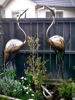 Metal Heron Sculpture Garden Art