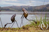 Metal Heron Sculpture Garden Art