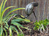 Metal Heron Sculpture Garden Art