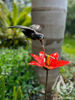 Hummingbird Stem Garden Art