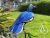 Scrap Metal Garden Art Kereru Sculpture