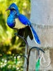 Scrap Metal Garden Art Kereru Sculpture