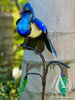 Scrap Metal Garden Art Kereru Sculpture