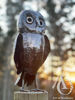 Metal Morepork Owl
