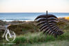 Metal NZ Fern Sculpture