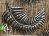 Metal NZ Fern Sculpture