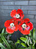 Metal Poppy Stem with seed pod