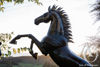 Metal Rearing Horse Sculpture