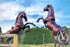 Metal Rearing Horse Sculpture