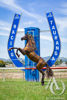 Metal Rearing Horse Sculpture