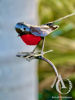 Metal Wall Art - Robin on a Stem