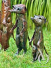 Metal Meerkat Medium