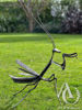 Metal Praying Mantis